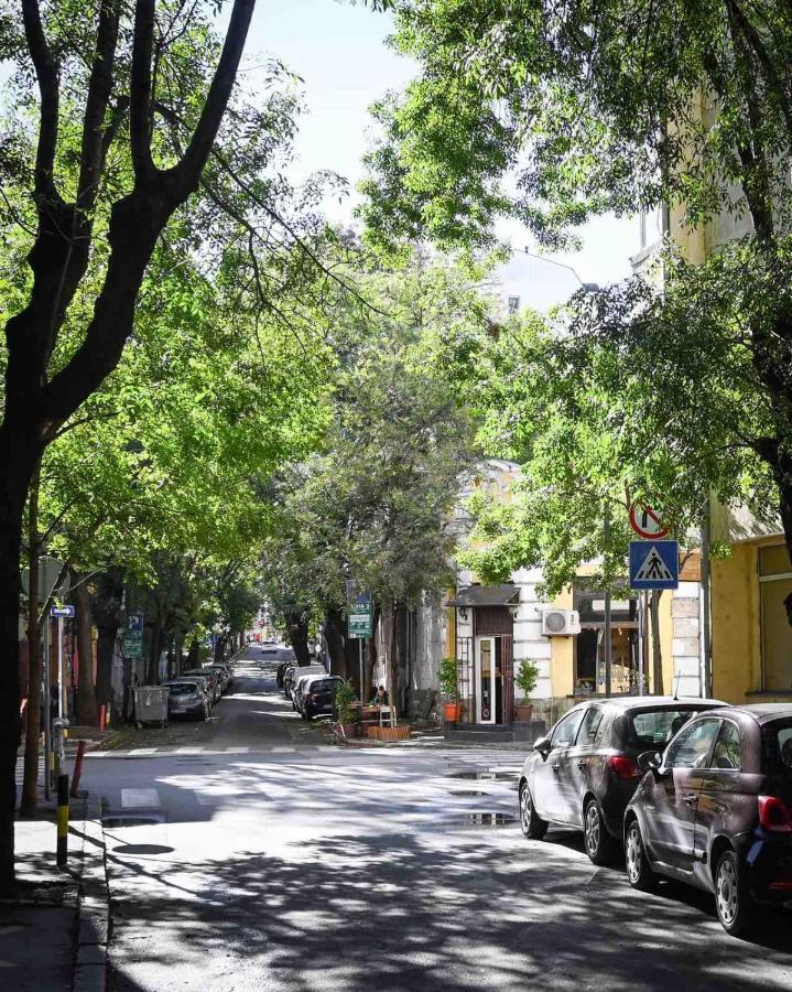 Step Apartments Belgrad Dış mekan fotoğraf